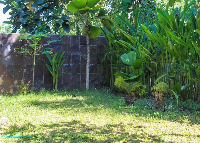 別荘 Charming 2br Close To Pering Gianyar サバ